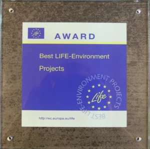 Best Life Projects 2010