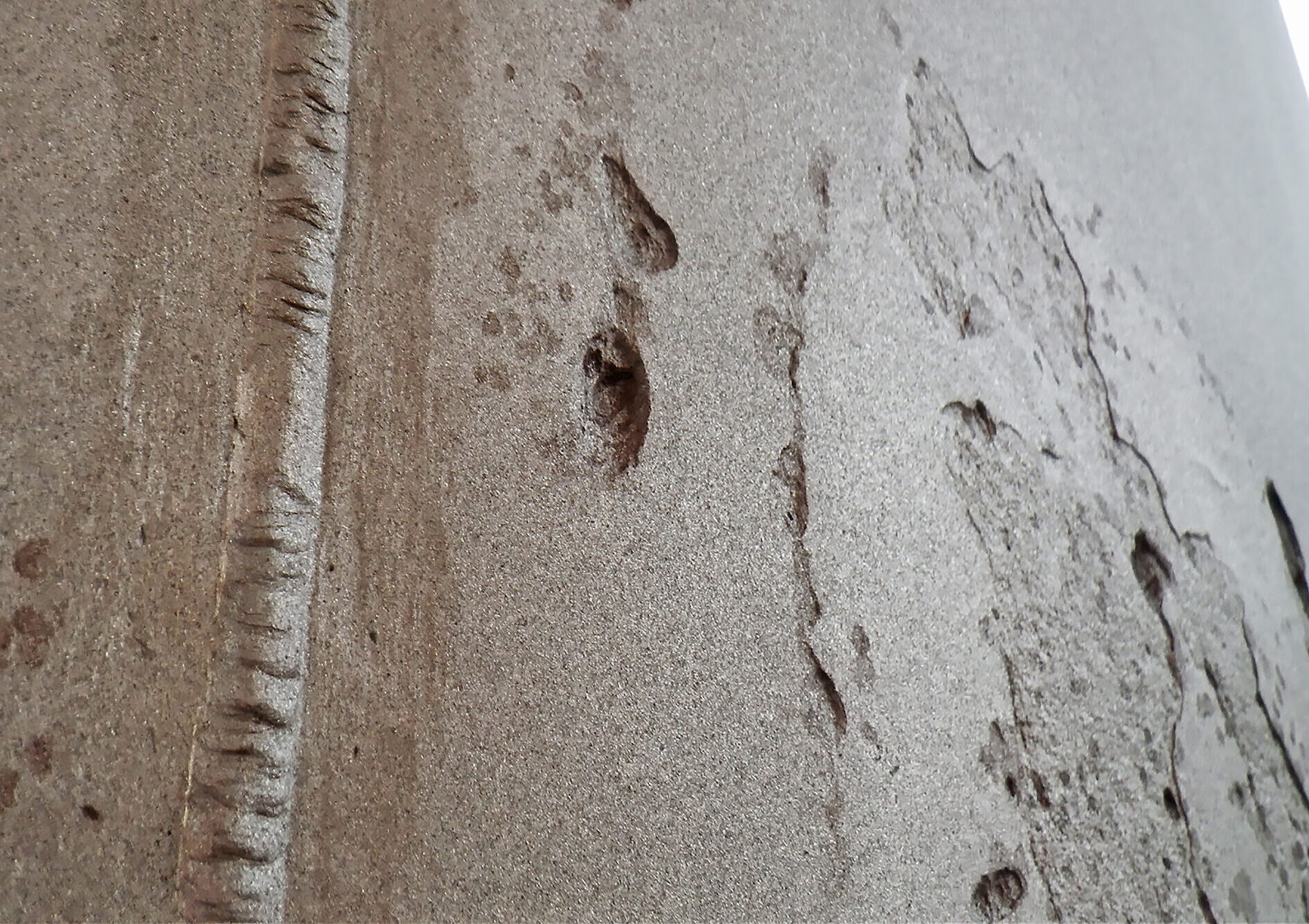 Cavitation damage on the rudder of the MT Asopos, a sister vessel to the Aliakmon, in 2015 prior to Ecoshield application.